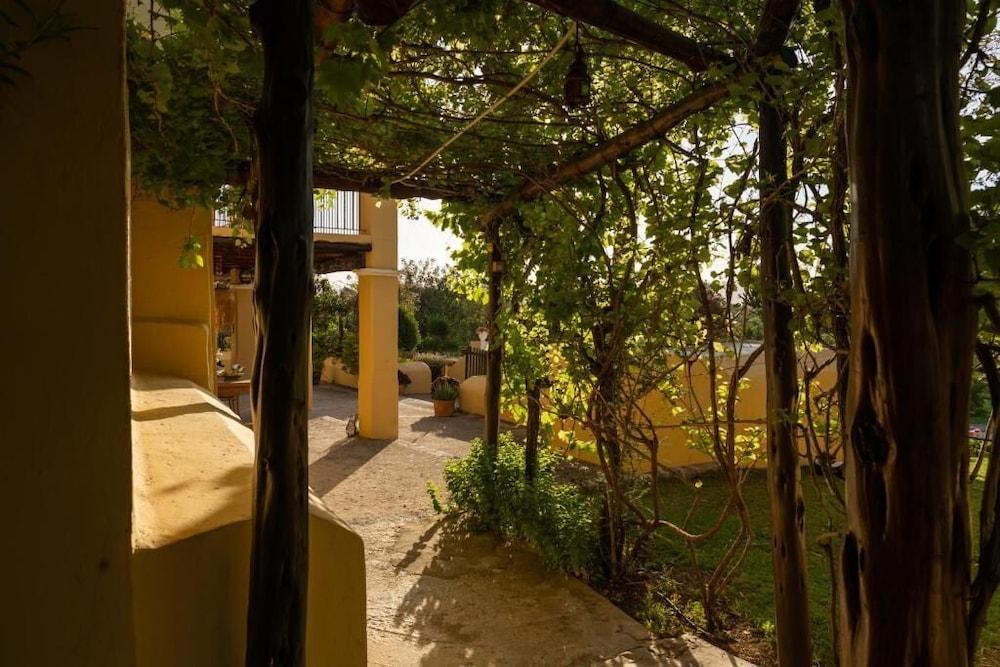Mariposas Ibiza Sant Rafel de sa Creu