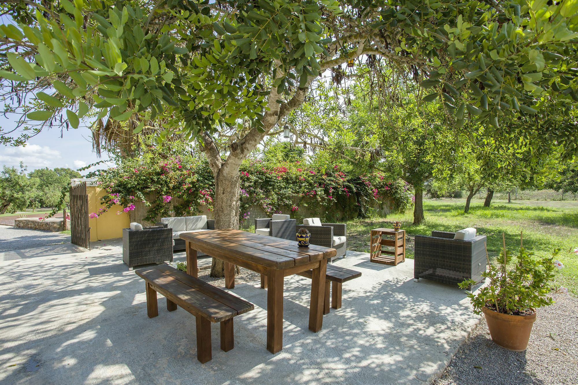 Mariposas Ibiza Sant Rafel de sa Creu